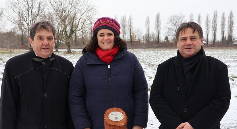 Bajnokok fasora: sportlegendák előtt tiszteleg Gyenesdiás