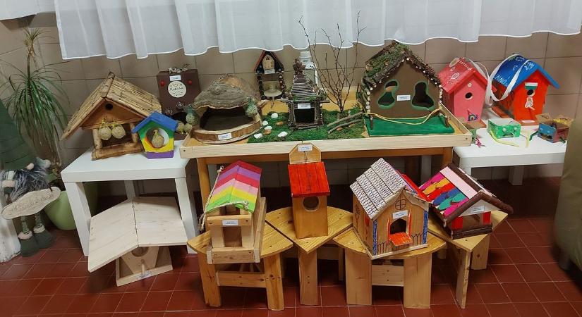 A soproni ovi is pályázik a madárbarát címre