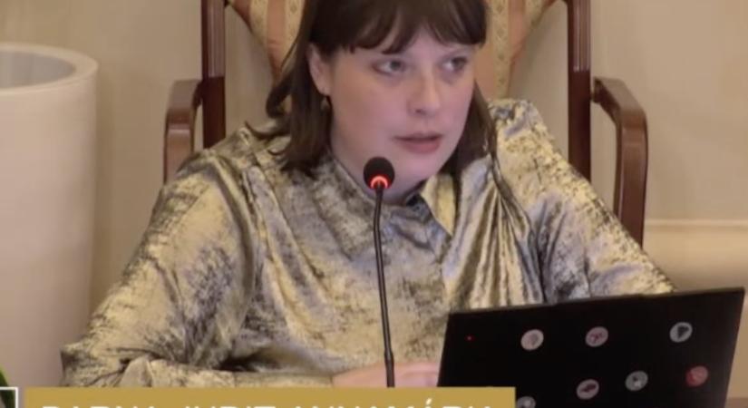 A migráció csak álprobléma – állítja a Tisza Párt képviselője