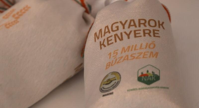 Somogyi búzából is bőven lesz majd magyar kenyér