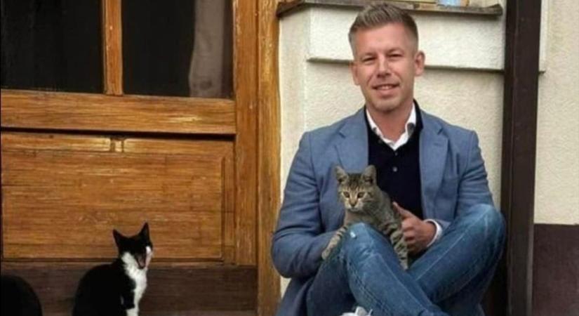 „Adó sújt majd minden cicát, ha megszavazod a Tiszát” – már oda is pörkölt Magyar Péteréknek a titokzatos netzenész (VIDEÓ)