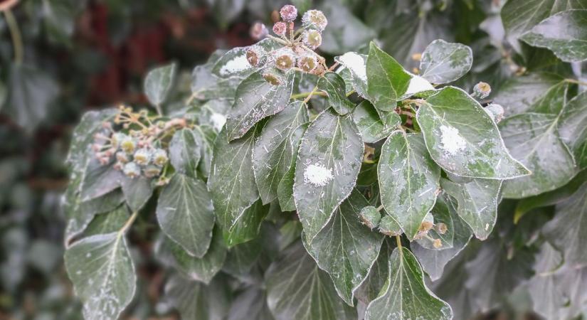 Csütörtökön újra téli hangulat jön – Ilyen lesz a holnapi időjárás
