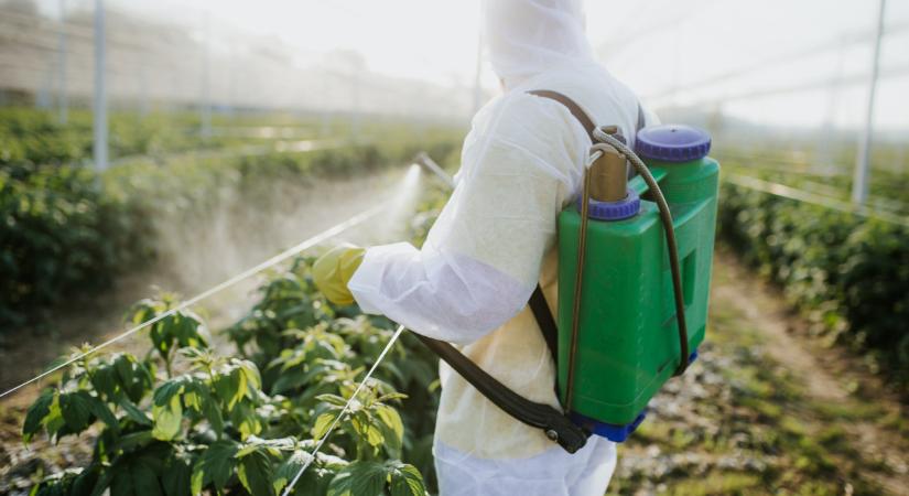 Sokk a magyar kertekben: óriási a káosz, erre nem lehetett készülni