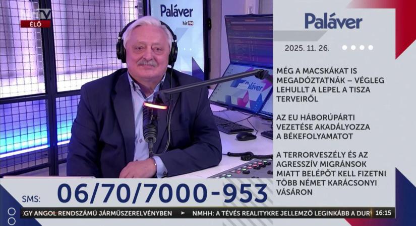 Macskaadó? A Tisza Párt szerint a macskaadóból lesz kolbászból a kerítés  videó