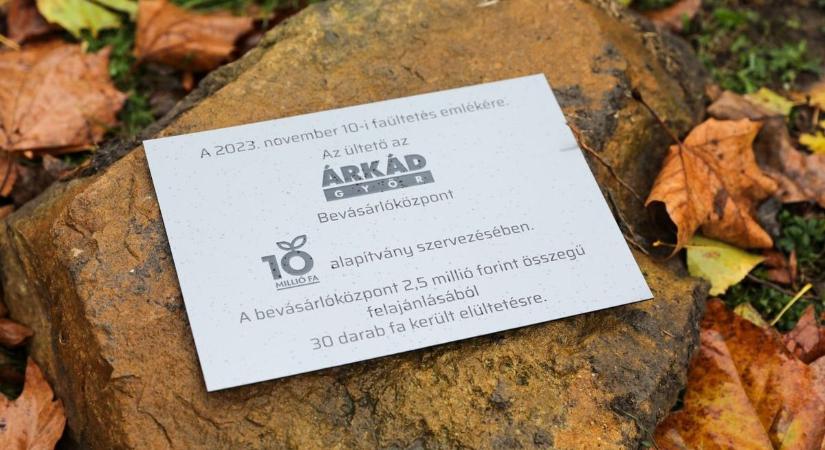 Újabb fákat adományoztak a győri állatkertnek