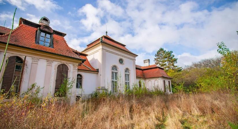 Értékes kincseket hagytak hátra az elfeledett, felvidéki kastélyban – Galéria