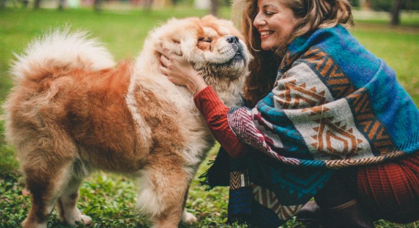 Ha kutyád, macskád van, mindenképp tudj erről! Szigorítja az EU az állatvédelmi törvényeket