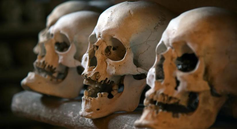 Hátborzongató, amit a lomtalanításon találtak Ferencvárosban