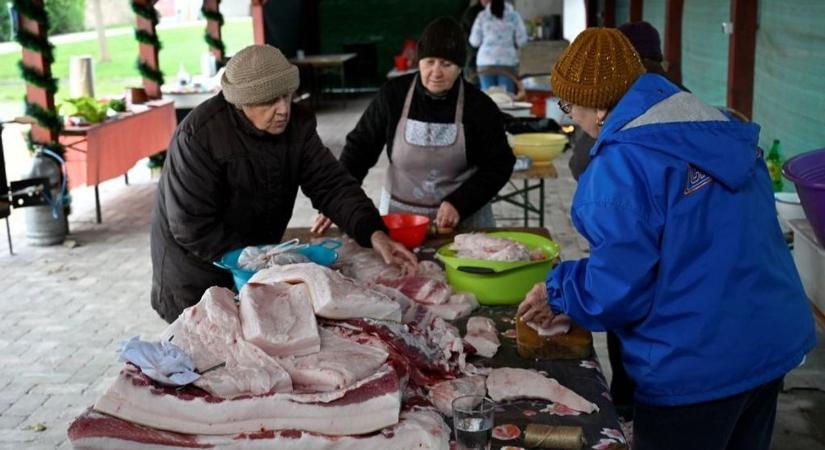 A hagyományőrző disznóvágások egyre népszerűbbek