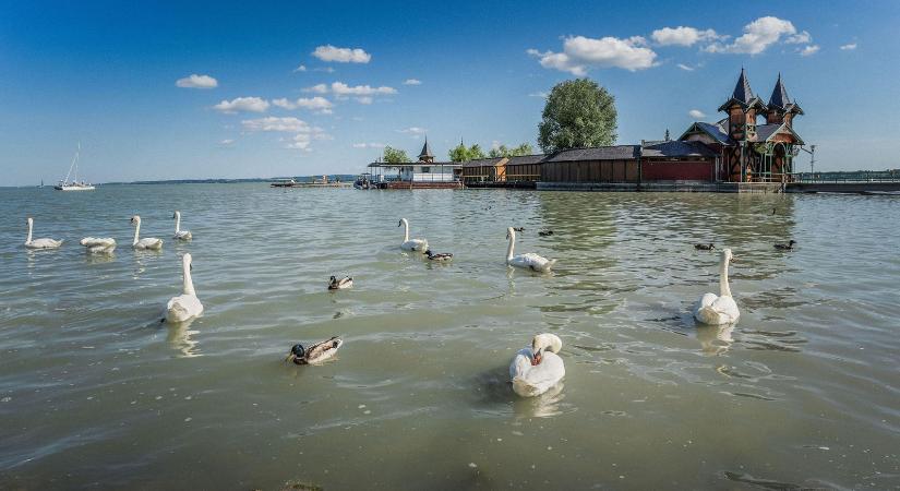 Óriási szigeteket találtak a Balatonban, de valami nagyon nem stimmel