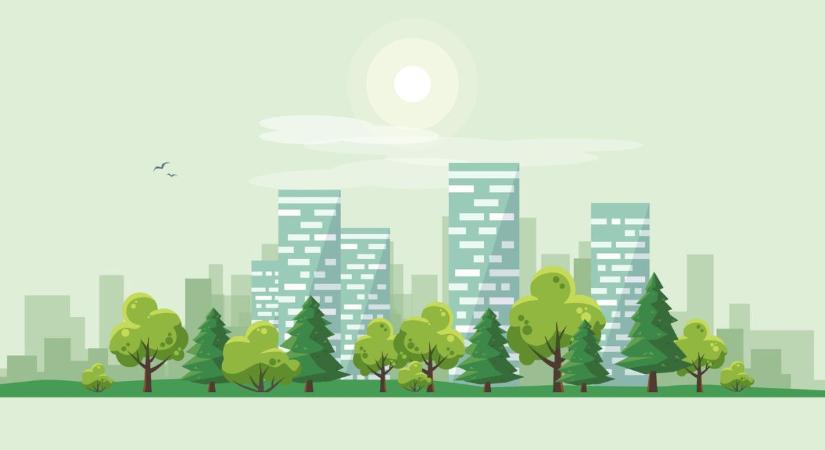 Minierdők a betondzsungelben – Így teszik jobbá az életünket a Miyawaki-erdők