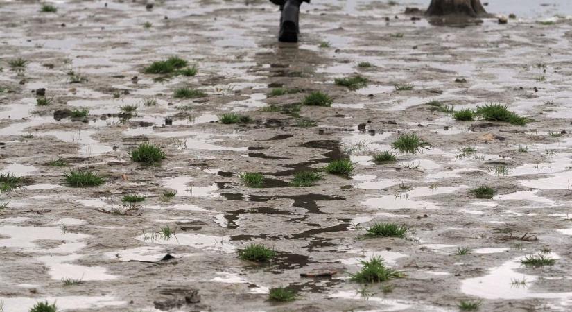 Ennyi volt? Kiszáradhat az egyik legnépszerűbb magyar tó, már alig maradt benne víz – sokkal nagyobb a baj, mint látszik