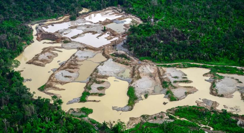 Erdőirtás elleni szabályok puhításánál talált ismét egymásra az Európai Néppárt és a Patrióták Európáért az EP-ben