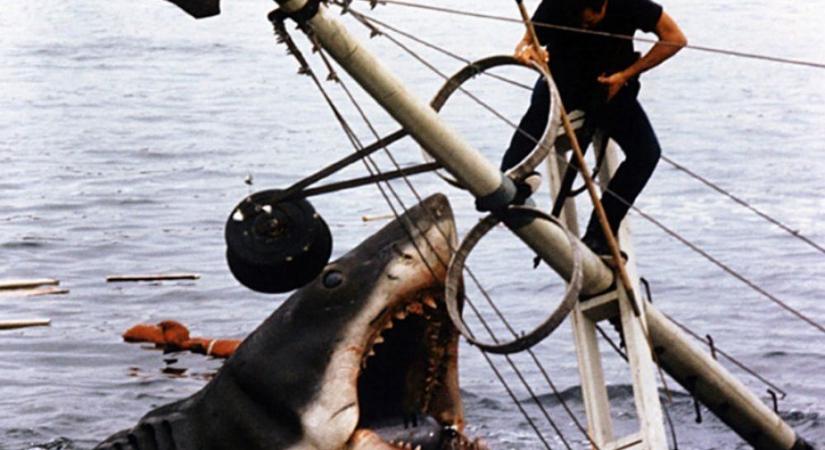 Cápa: Ötven éve hatalmas klasszikus (kritika)