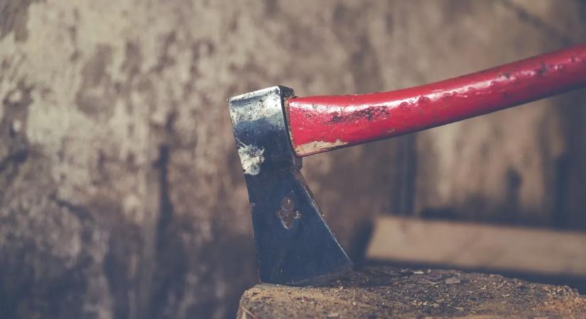 Rejtély: holtan találták bécsi lakásában Mihályt, a lefejezős magyar anyagyilkost