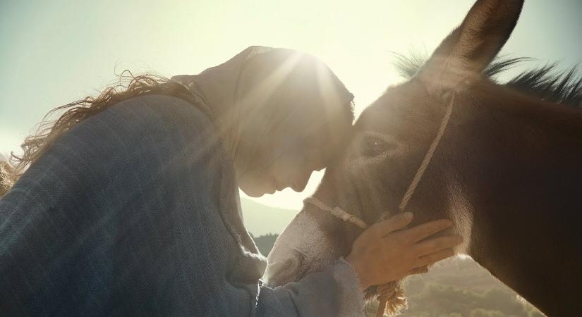 NÉHA A LEGKISEBB HORDOZHATJA A LEGNAGYOBB FÉNYT – ERSTE KARÁCSONY 2025