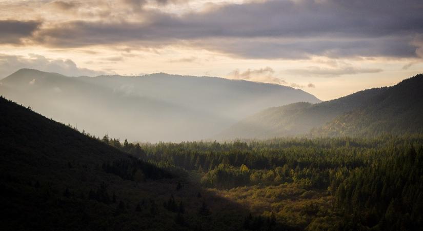 Tragikus hír érkezett a vadászaton eltűnt vadászról
