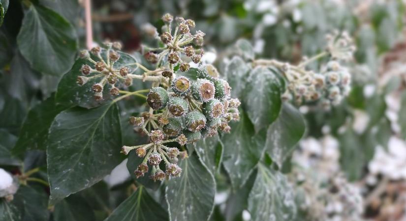 Hideg, felhős csütörtök vár ránk – Ilyen lesz a mai időjárás