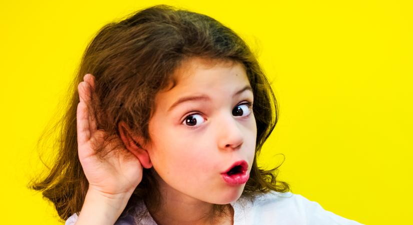 Auditív érzékelés avagy a hallás világa