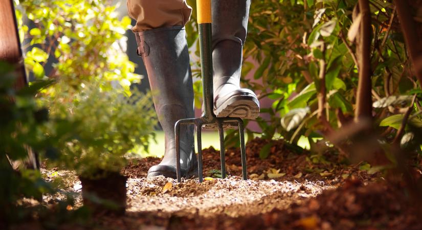 Nem akármi termett egy zalai kertben!