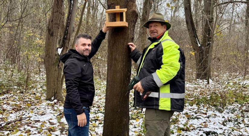 Madáretetőket helyeztek ki Csorna több pontján, a helyiek is etethetik az itt telelőket