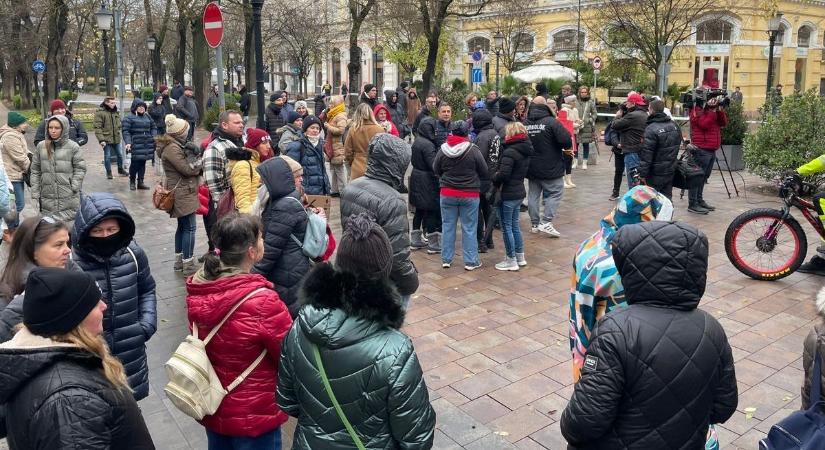 Aki képes ilyet tenni, ne ússza meg pénzzel – elég volt az állatkínzásból!