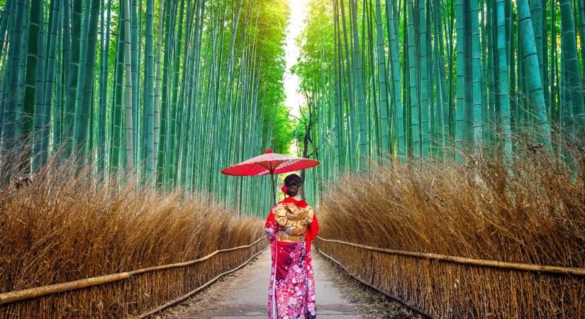 Miért szeretik a japánok a minimalizmust ennyire? Egy életfilozófia, ami hódít