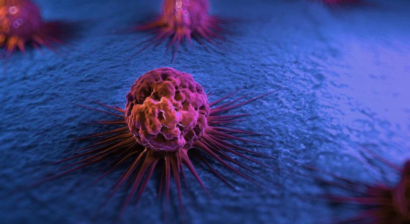 Forradalmi áttörést jelentettek a rákkutatás területéről – „A tudás legyőzi a félelmet”