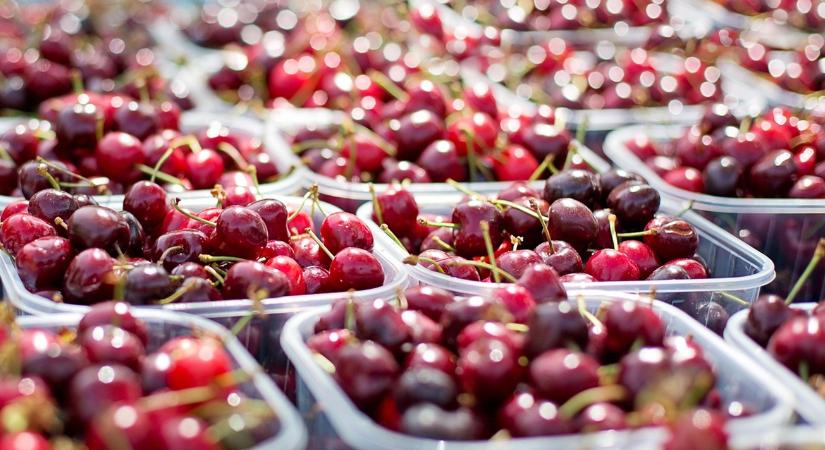 Új lehetőség termelőknek, nem érdemes kihagyni