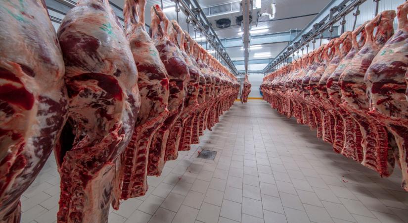Döntöttek a húsfeldolgozó sorsáról: kiderült, hogy lesz-e újabb bezárás