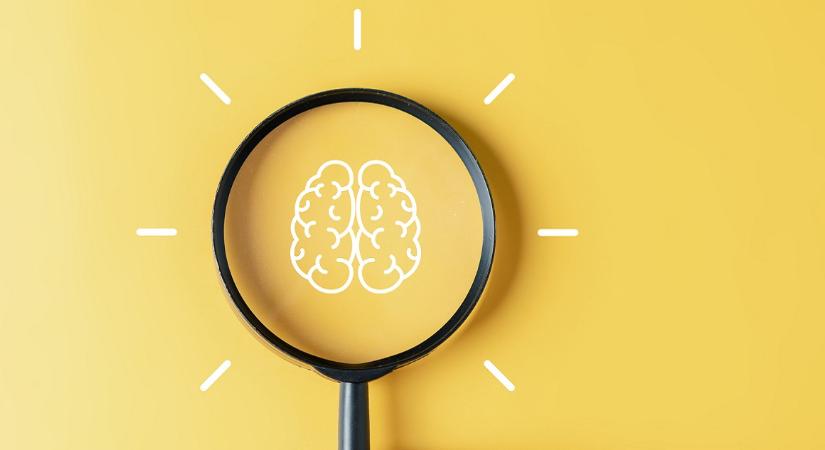 Kvíz: Neked hogy megy a hatodikosoknak összeállított felvételi feladatsor?