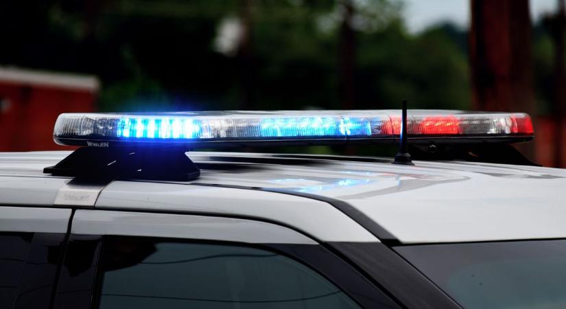 Vaddal ütközött egy autó az 54-es főúton