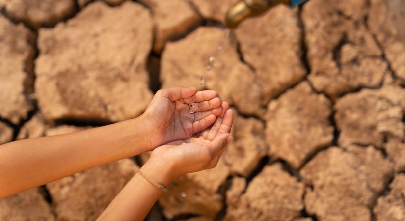Veszélybe került a Duna-Tisza közi homokhátság a klímaváltozás miatt