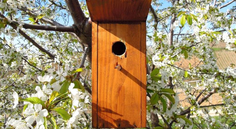 MobilGazda-fotót kérhetnek erről az AKG ellenőrzéseken