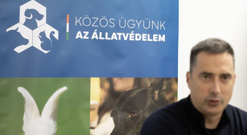 A Gazdijogsi segítségével bárkiből felelős állattartó lehet