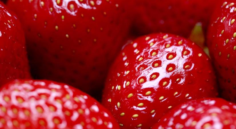 Fokhagymából készült növényvédő szer kapott engedélyt Spanyolországban