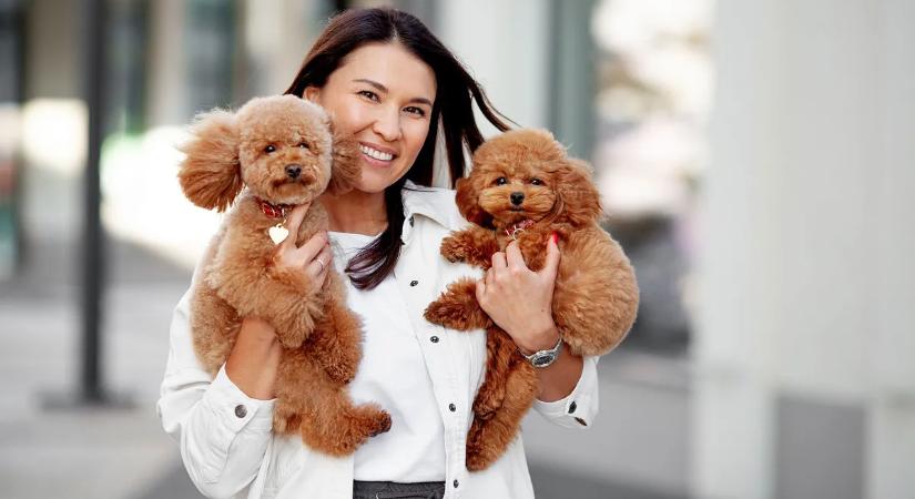 Nagy veszélyben a házikedvencek: az összes bevizsgált állatfelszerelés megbukott a fogyasztóvédelmi vizsgálaton