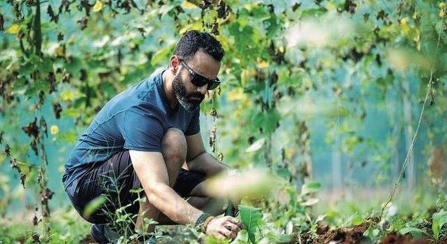 Könnyít az Agrárminisztérium az Agro-ökológiai Program feltételein