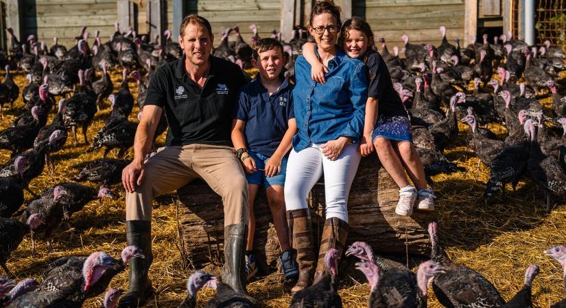Ezen a farmon már nyáron elkezdődik a karácsonyi szezon