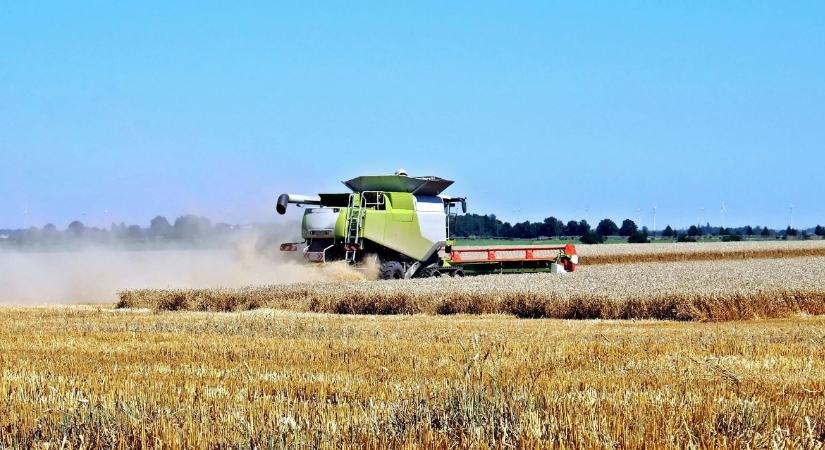 Megjöttek a számok: Visszaesett a magyar mezőgazdaság teljesítménye 2024-ben