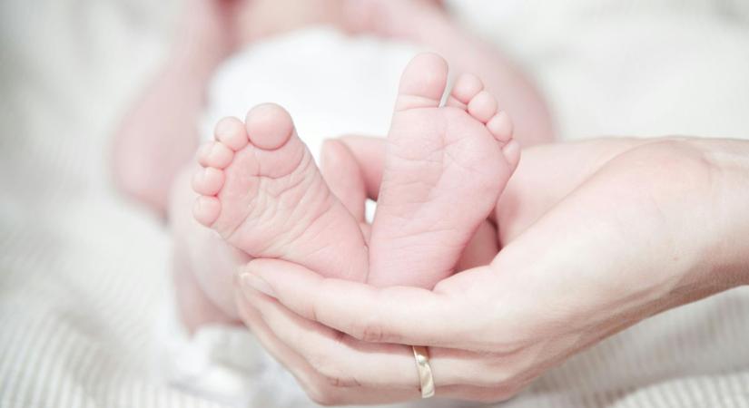 Egy kislány és három kisfiú született szerdán Győrben és Mosonmagyaróváron