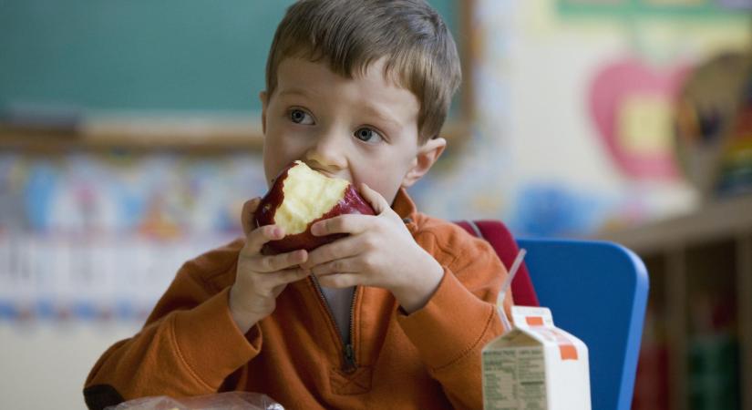 500 ezer adag megmentett ebéd iskolai menzákról