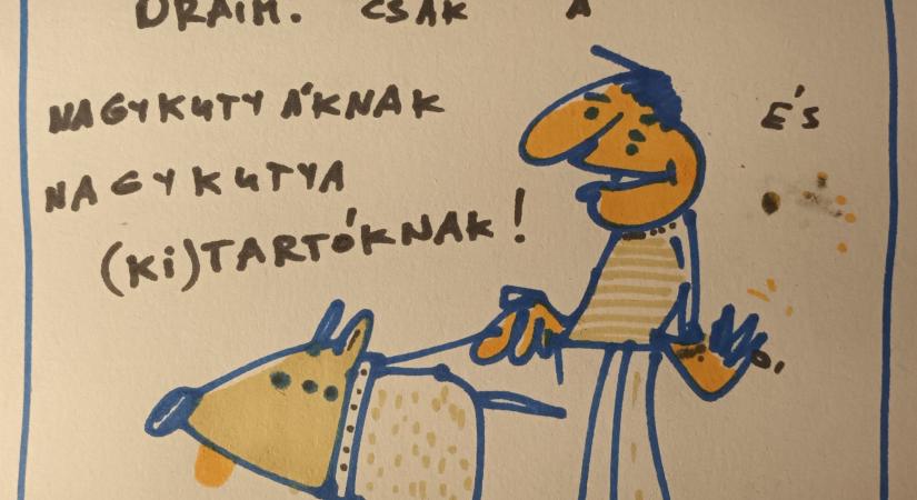 Sior: rajzok haza 43.