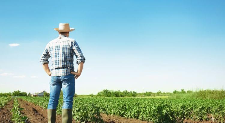 Amit a német mezőgazdasági termelésről tudni kell