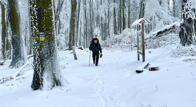 Mik ezek a sátrak a Mátrában? Őrület, mit tett meg odafönt egy társaság – fotókkal, videóval
