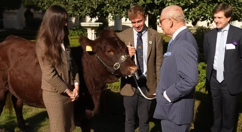 Károly brit király gonosz tréfát eszelt ki, teljes a pánik a haszonállatai miatt