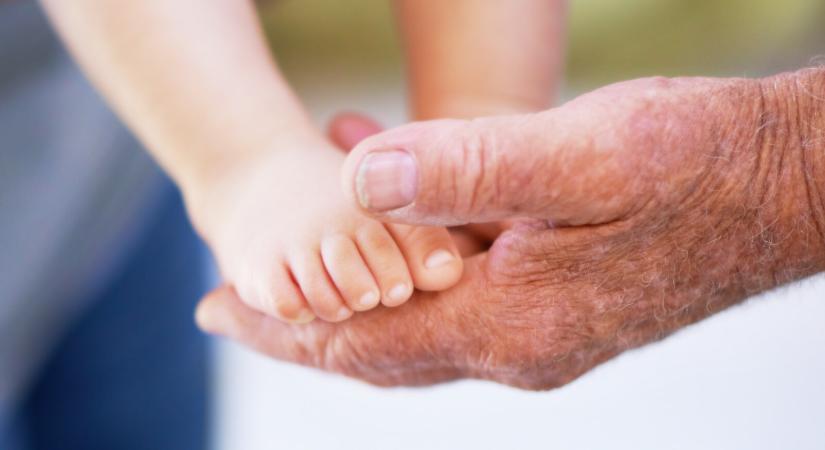 Fontos és elszomorító adatokat közölt a statisztikai hivatal