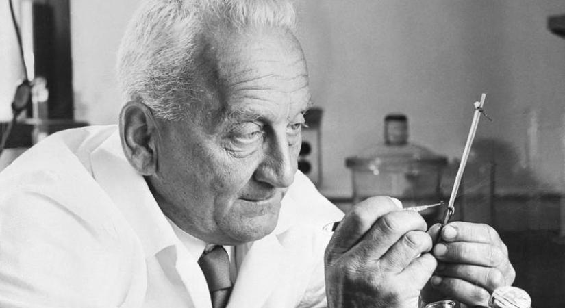 Felismered a világ leghíresebb Nobel-díjas tudósait? 6 képet mutatunk