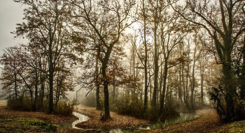 Eső, köd, vagy napsütés? Ilyen idő vár ránk a következő napokban