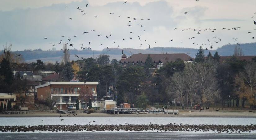 Két év után kiderült, hogy mi lesz a tatai vízi tanösvény sorsa